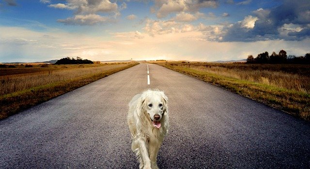 Maverick Approach - A Fresh Way to Combine Manifestation and Productivity