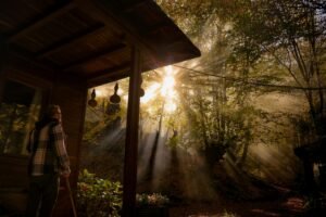 A person njoying quiet morning light, reflecting on his intentions and goals for the day.