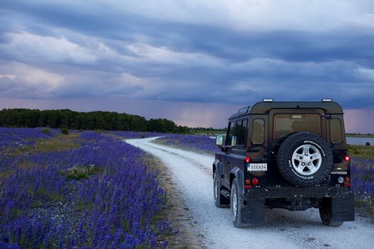 Exploring a scenic dirt road in Gotland, Sweden with vibrant wildflowers and dramatic skies.